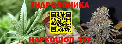 ПСИЛОЦИБИНОВЫЕ ГРИБЫ Комсомольск-на-Амуре