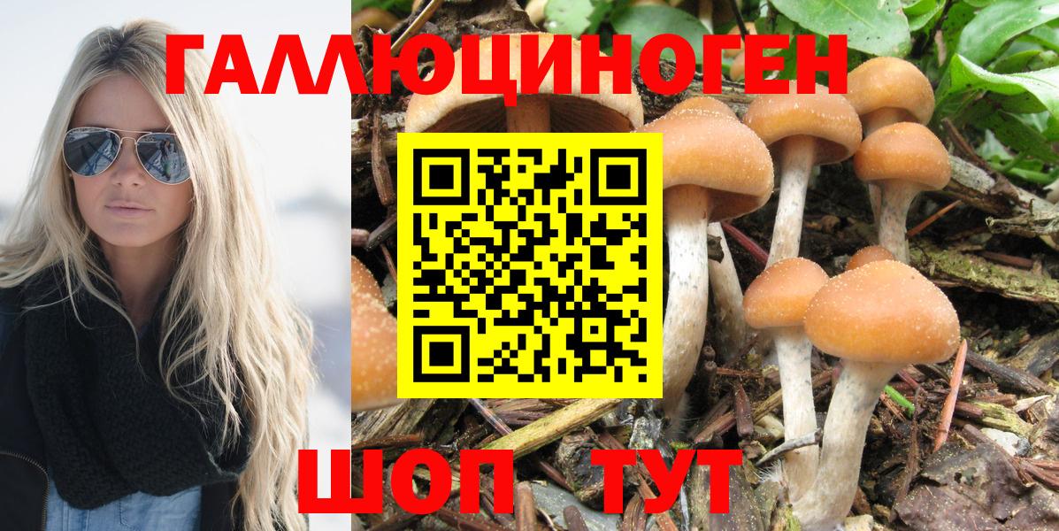 Каменск-Шахтинский  Псилоцибиновые грибы GOLDEN TEACHER  Галлюциногенные грибы прущие грибы  Вход с VPN 