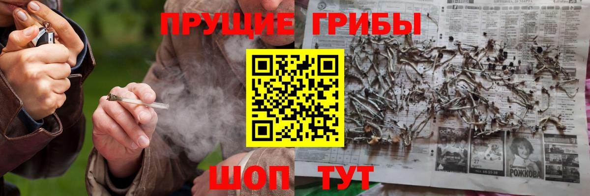 Псилоцибиновые грибы прущие грибы Каменск-Шахтинский